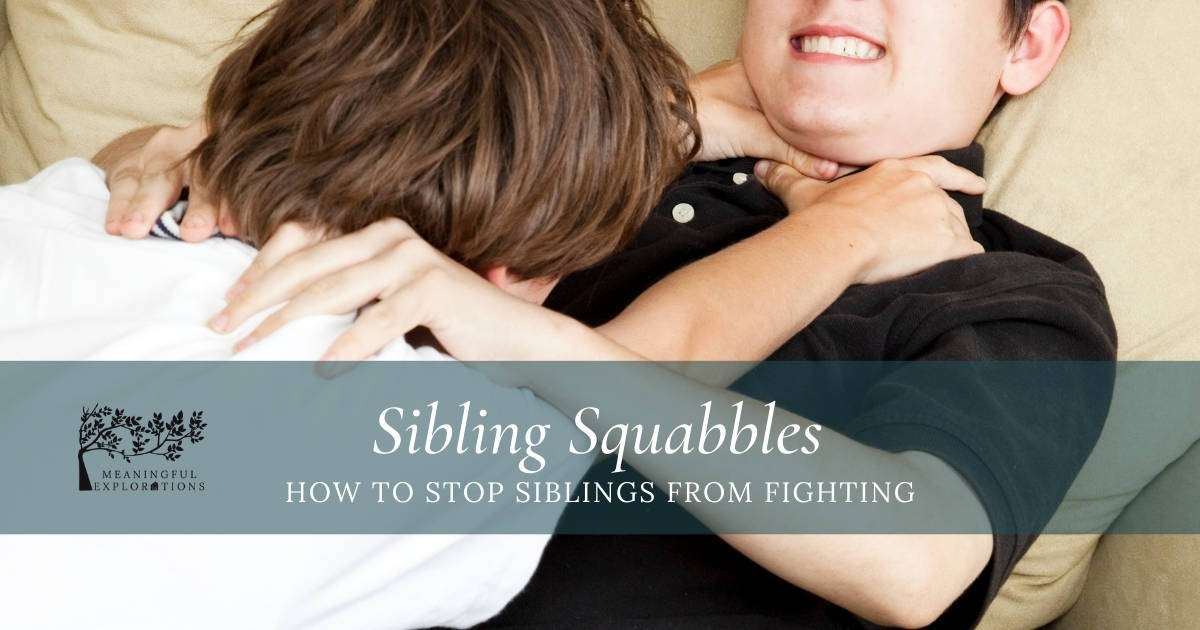 Sibling Squabbles - Can You Stop Them From Fighting? — TWINS Magazine